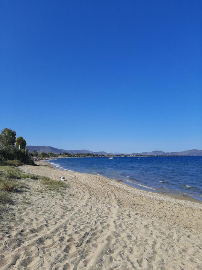 Cozy Flat In Nea Makri Apartment Exterior photo